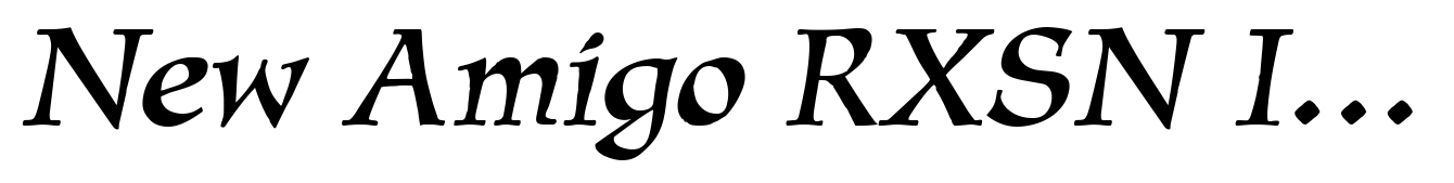 New Amigo RXSN Italic